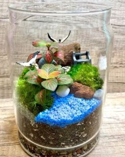 (Category: ) located in . Submitted by lushglassdoor (Listing ID 1454893709, Image 1). Description: .