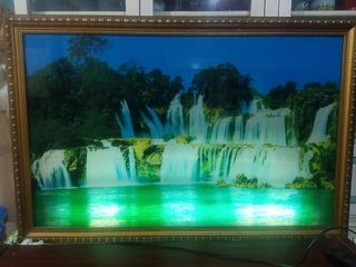 (Category: ) located in . Submitted by shawn0320_fish (Listing ID 1454824113, Image 1). Description: .