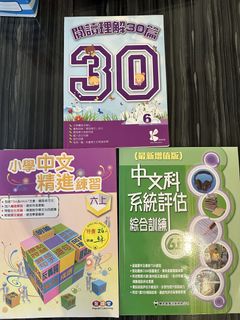 （分類：）位於 。 由 littlegoose2024 提交（商品編號 1454996752，圖片 1）。簡介： 。