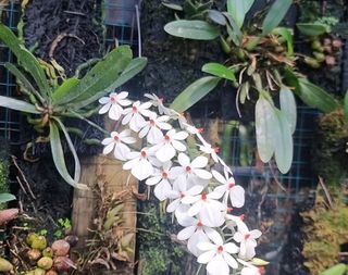 (Category: ) located in . Submitted by sindo.sg (Listing ID 1454994872, Image 1). Description: .