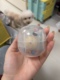 （分類：）位於 。 由 0.0grumpy 提交（商品編號 1455083545，圖片 1）。簡介： 。