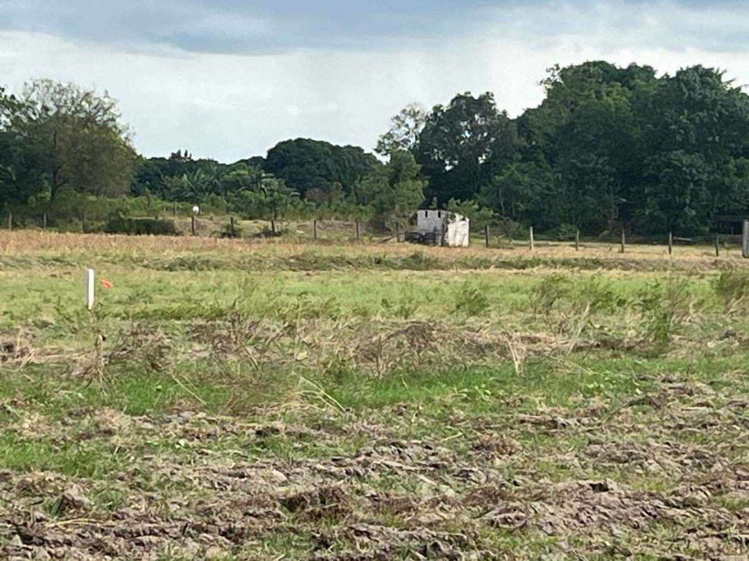 Farm Lot for Sale (Category: Lot) located in Angeles City. Submitted by skywalker0213 (Listing ID 1454972195, Image 1). Description: Farm Lot for Sale near Malls, Supermarkets, Schools.