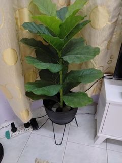 (Category: ) located in . Submitted by izzatsafri64 (Listing ID 1455082135, Image 1). Description: .