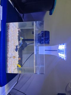 (Category: ) located in . Submitted by amirul070717 (Listing ID 1455122079, Image 1). Description: .