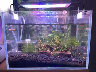 (Category: ) located in . Submitted by calvinozc (Listing ID 1455129819, Image 1). Description: .