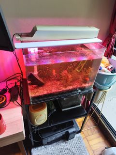 (Category: ) located in . Submitted by saveearthregent (Listing ID 1455084730, Image 1). Description: .