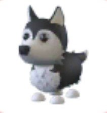 (Category: ) located in . Submitted by flyyyz (Listing ID 1455097093, Image 1). Description: .