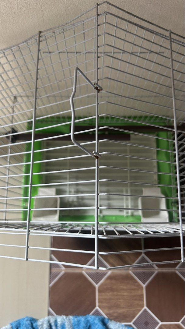 Love birds cage (Category: Homes & Other Pet Accessories) located in Manila. Submitted by darwynx24 (Listing ID 1455025159, Image 3). Description: For sale‼️ Good for 1 pair of love birds.