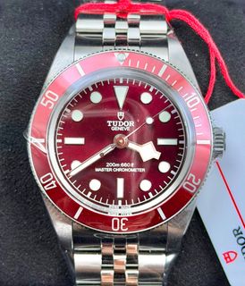 TUDOR Collection item 2