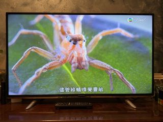 （分類：）位於 。 由 samsam712 提交（商品編號 1455013839，圖片 1）。簡介： 。