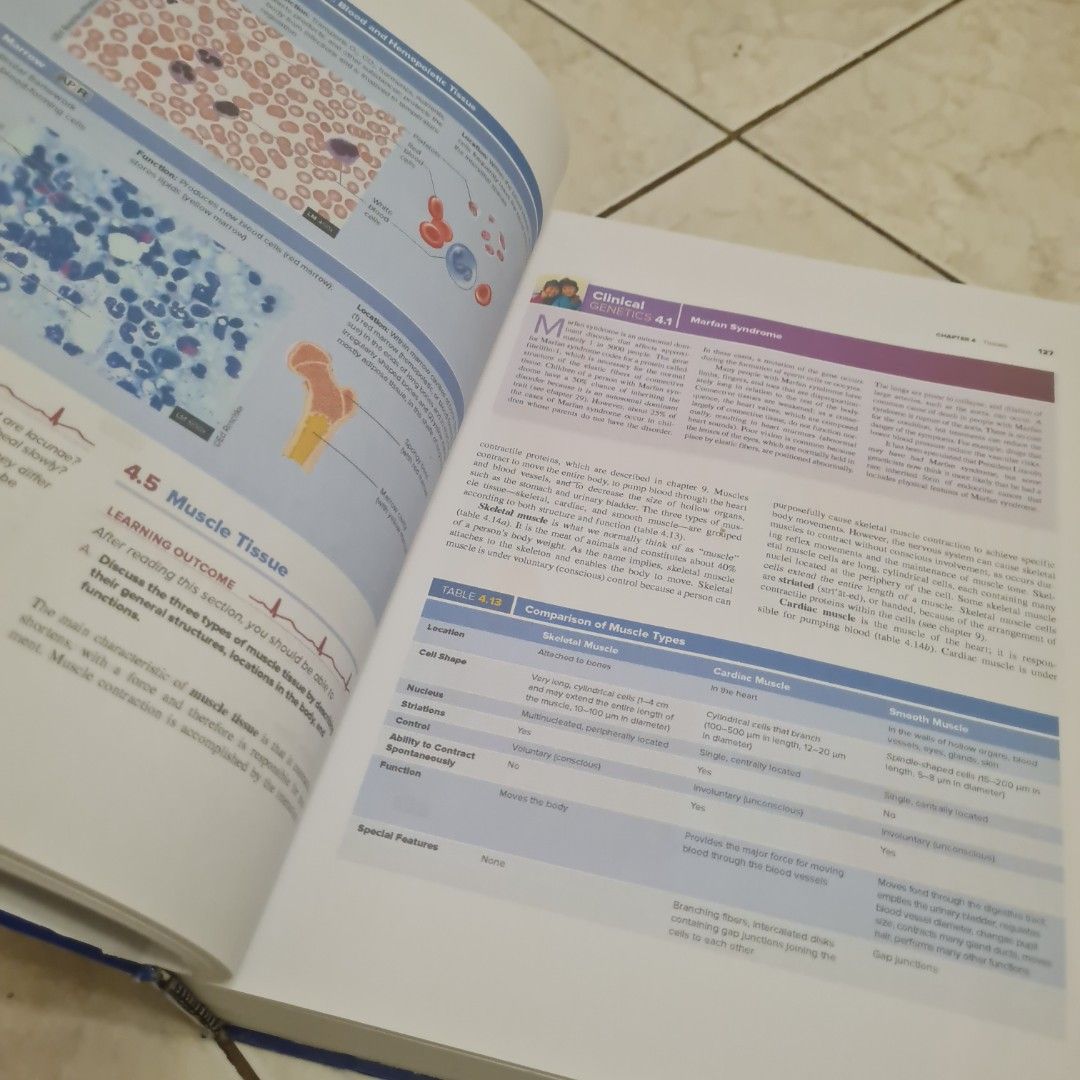 Seeley's Anatomy & Physiology 12th edition hardbound (Category: Textbooks) located in Cebu City. Submitted by chikoritaq (Listing ID 1455023006, Image 2). Description: would like gone!! sf is already included na sa price ty!!.