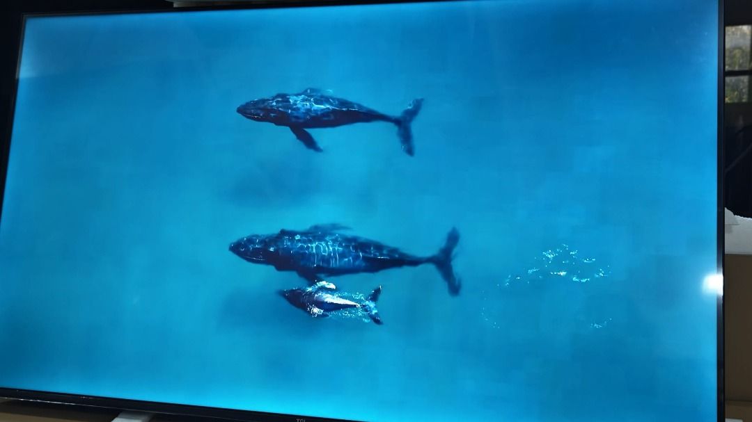 TCL 55V6B (Category: TV) located in Singapore. Submitted by smart_tech (Listing ID 1454979110, Image 2). Description: Display & Picture Screen Size: 55 inches Resolution: 4K UHD (3840 × 2160) Panel Type: Direct LED with HVA panel Contrast Ratio: 5000:1 Brightness: ~270 to 350 nits Refresh Rate: 60Hz (with Motion Clarity / MEMC)HDR Formats: HDR10, HLGProcessor: AiPQ Processor Smart System & Storage Operating System: Google TV (based on Android 12)