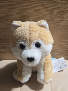 （分類：）位於 。 由 cmsell22 提交（商品編號 1455238496，圖片 1）。簡介： 。