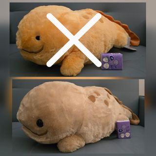 （分類：）位於 。 由 pokemon_hangyodon 提交（商品編號 1455097635，圖片 1）。簡介： 。