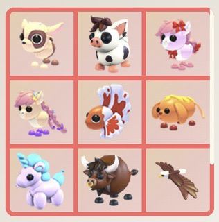 (Category: ) located in . Submitted by quackythaduck (Listing ID 1455251197, Image 1). Description: .