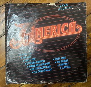 VINYL / PLAKA - FOREIGN & LOCAL Collection item 1