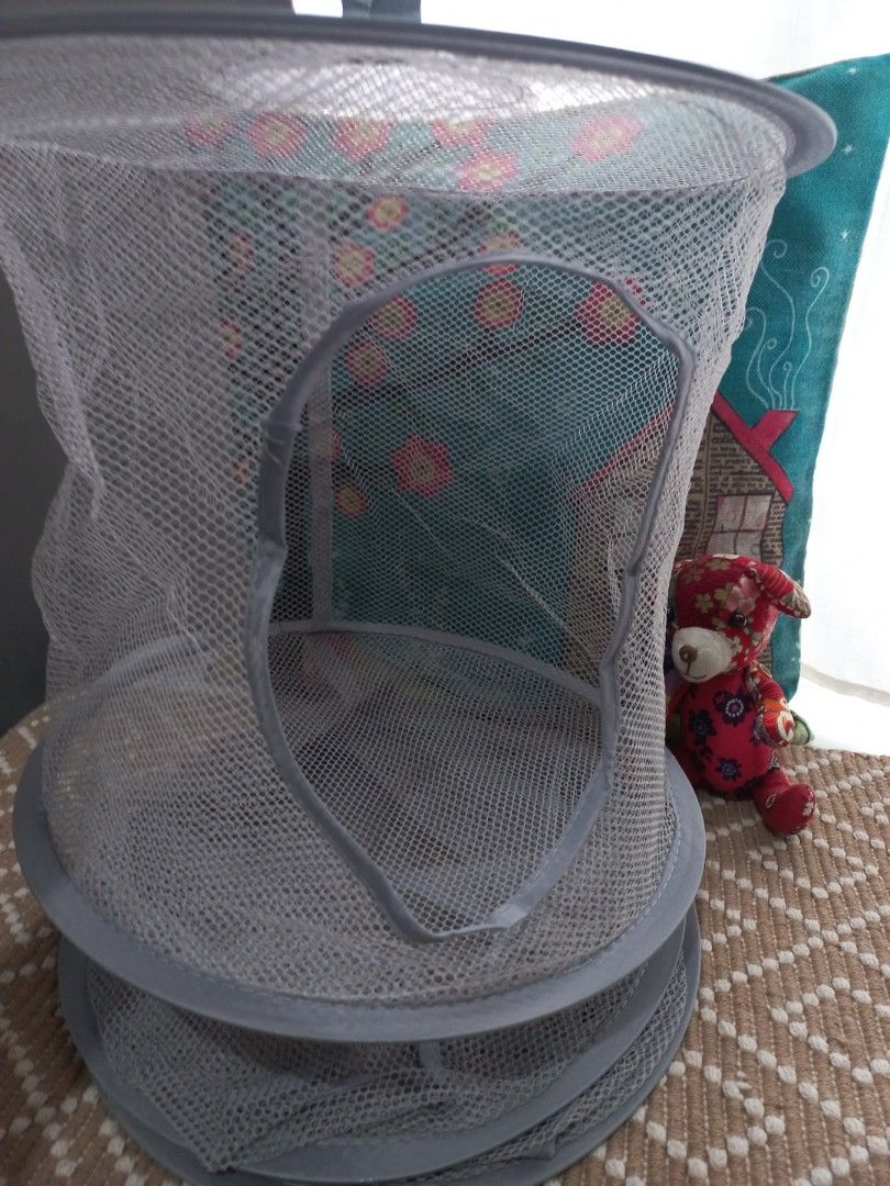 Collapsible Mesh Laundry Hamper with Handles (Category: Laundry Baskets) located in Naga. Submitted by greatchance (Listing ID 1455210164, Image 1). Description: - Collapsible mesh laundry hamper - Multiple compartments for sorting - Easy-carry handles - Folds flat for convenient storage - Lightweight and portable - Ideal for small spaces - Perfect for organizing laundry or toys.