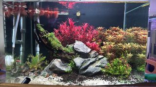 (Category: ) located in . Submitted by AndrewSW135 (Listing ID 1455228702, Image 1). Description: .