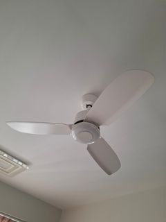 (Category: ) located in . Submitted by pebbs20 (Listing ID 1455175944, Image 1). Description: .