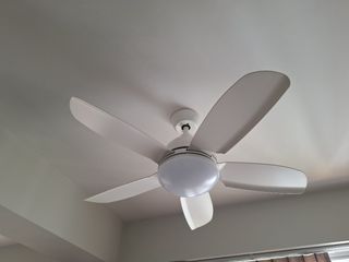 (Category: ) located in . Submitted by pebbs20 (Listing ID 1455177056, Image 1). Description: .