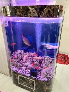 (Category: ) located in . Submitted by sathish13kumar (Listing ID 1455149516, Image 1). Description: .