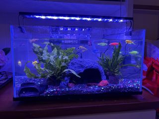 (Category: ) located in . Submitted by ijustwanttosellnbuy (Listing ID 1455266751, Image 1). Description: .