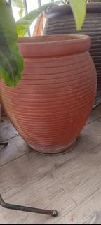 (Category: ) located in . Submitted by bt0548 (Listing ID 1455200874, Image 1). Description: .