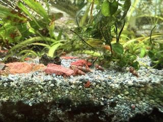 (Category: ) located in . Submitted by mazada81 (Listing ID 1455230147, Image 1). Description: .