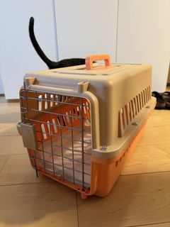 （分類：）位於 。 由 gentlefox_ 提交（商品編號 1455151820，圖片 1）。簡介： 。