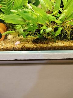 (Category: ) located in . Submitted by patmic1943 (Listing ID 1455433124, Image 1). Description: .