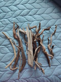 (Category: ) located in . Submitted by torridon (Listing ID 1455424652, Image 1). Description: .