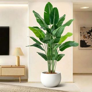 (Category: ) located in . Submitted by home_furnishing (Listing ID 1455420130, Image 1). Description: .