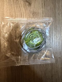 （分類：）位於 。 由 likecrazy 提交（商品編號 1455453317，圖片 1）。簡介： 。