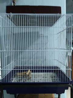 (Category: ) located in . Submitted by tyaspinmarchan (Listing ID 1455345170, Image 1). Description: .