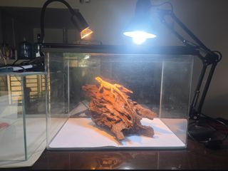 (Category: ) located in . Submitted by radimus (Listing ID 1455327388, Image 1). Description: .
