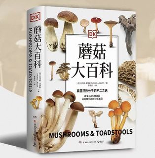 （分類：）位於 。 由 rickylauzz 提交（商品編號 1455332225，圖片 1）。簡介： 。