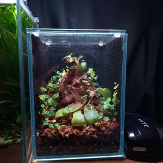 (Category: ) located in . Submitted by v3gqt (Listing ID 1452544744, Image 1). Description: .