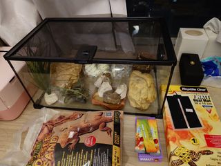 （分類：）位於 。 由 java98 提交（商品編號 1455429672，圖片 1）。簡介： 。
