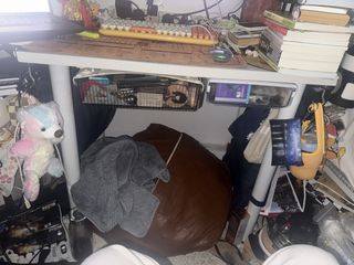 (Category: ) located in . Submitted by mickeyh0us3 (Listing ID 1455341515, Image 1). Description: .
