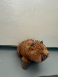 （分類：）位於 。 由 fish6821 提交（商品編號 1455469329，圖片 1）。簡介： 。