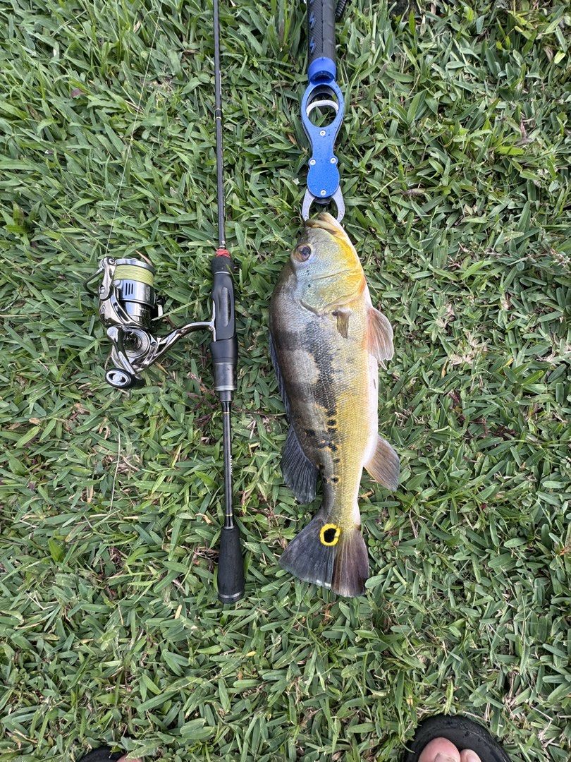 ul setup (Category: Fishing) located in Singapore. Submitted by dxnish350 (Listing ID 1455366819, Image 2). Description: wts ul setup rod: ajiking reel: xiwali staila size 1000 more pic pls text me FAST DEAL $60.