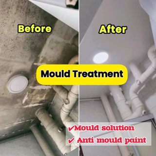 Anti Mould Treatment  收藏品 3