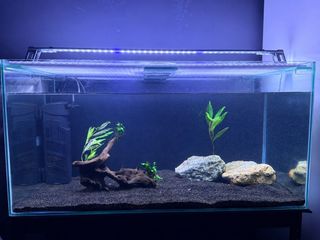 (Category: ) located in . Submitted by elfieto (Listing ID 1455579748, Image 1). Description: .