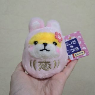（分類：）位於 。 由 aaeesell 提交（商品編號 1455614814，圖片 1）。簡介： 。