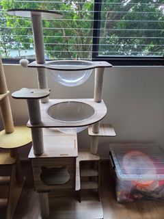 (Category: ) located in . Submitted by sugargummies (Listing ID 1455547083, Image 1). Description: .