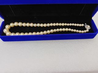 (Category: ) located in . Submitted by pearlworld123.66 (Listing ID 1455592164, Image 1). Description: .