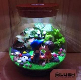 (Category: ) located in . Submitted by lushglassdoor (Listing ID 1455543929, Image 1). Description: .