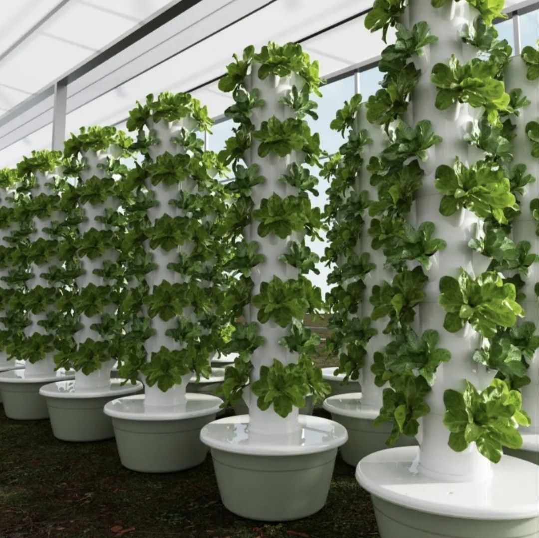 Hydroponic Towers 13 layers/52 holes (Category: Pots & Planters) located in Manila. Submitted by hnmrcs2 (Listing ID 1455579168, Image 3). Description: Hydroponic Tower 13 Layers/52 holes New Limited Stocks Drip type stereoscopic hydroponic tower 1. Used for planting flowers, vegetables, salad, herbs, fruits and so on; 2. The water circulation cultivation, saving 90% water compared with traditional planting; 3. Pollution free soilless cultivation