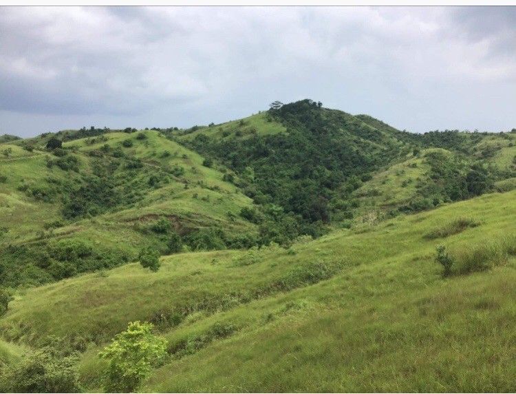 Mangatarem pangasinan (Category: Lot) located in Paranaque City. Submitted by meymey242021 (Listing ID 1455645316, Image 3). Description: near daan kalikasan 4.88 hectares pm for more pics/details.