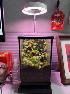 (Category: ) located in . Submitted by harry_gp_ap (Listing ID 1455528523, Image 1). Description: .